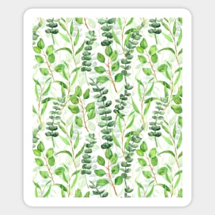 Eucalyptus Sticker